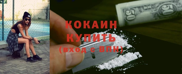 мет Алексин