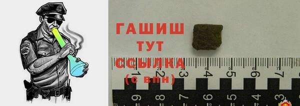 мет Алексин