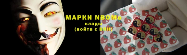мет Алексин